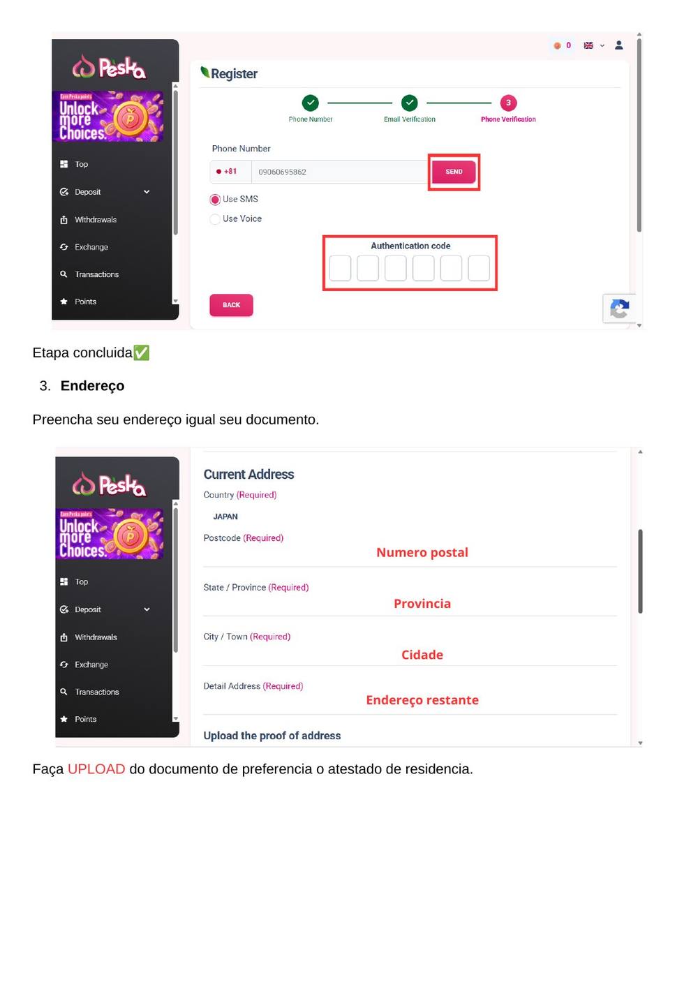 Manual Peska página 7